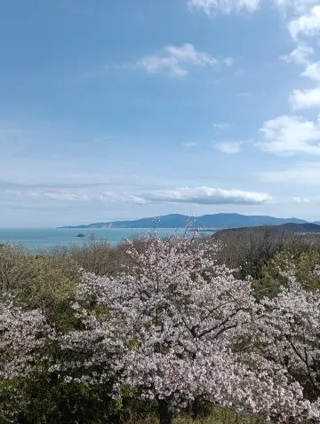 すっかり